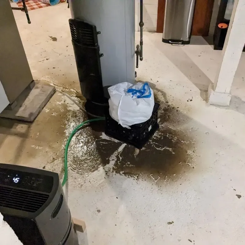 Sewage Backup Cleanup Service in Ukiah, CA